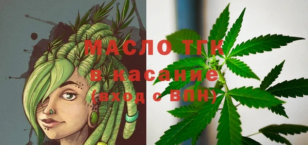 сатива Карталы