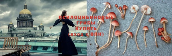 спиды Кинешма
