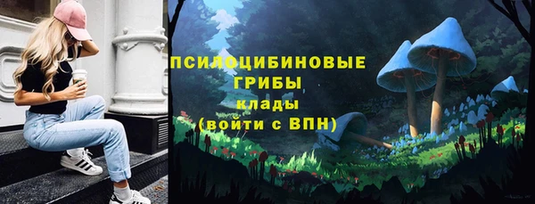 дурь Киреевск