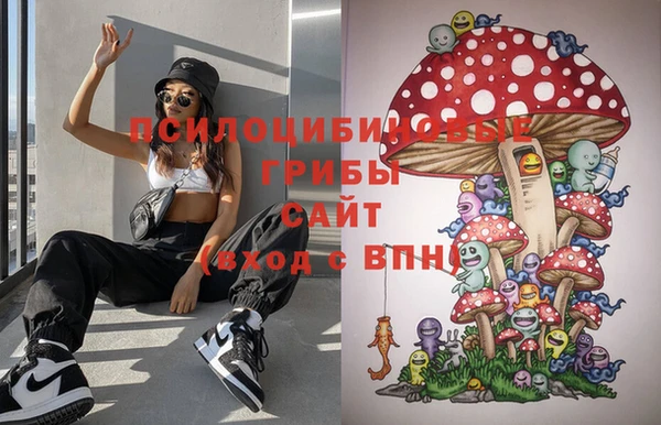 дурь Киреевск